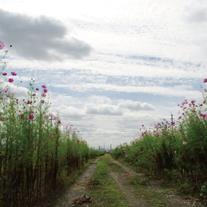 大胸美女网红叫房东修空调啪啪
