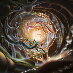 大胸美女网红叫房东修空调啪啪
