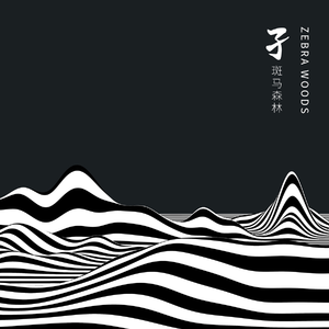 大胸美女网红叫房东修空调啪啪
