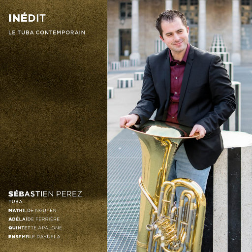 大胸美女网红叫房东修空调啪啪
