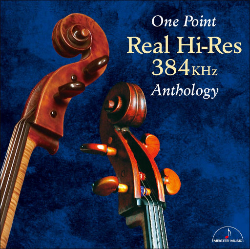 大胸美女网红叫房东修空调啪啪
