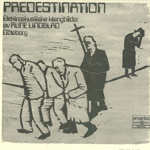 大胸美女网红叫房东修空调啪啪
